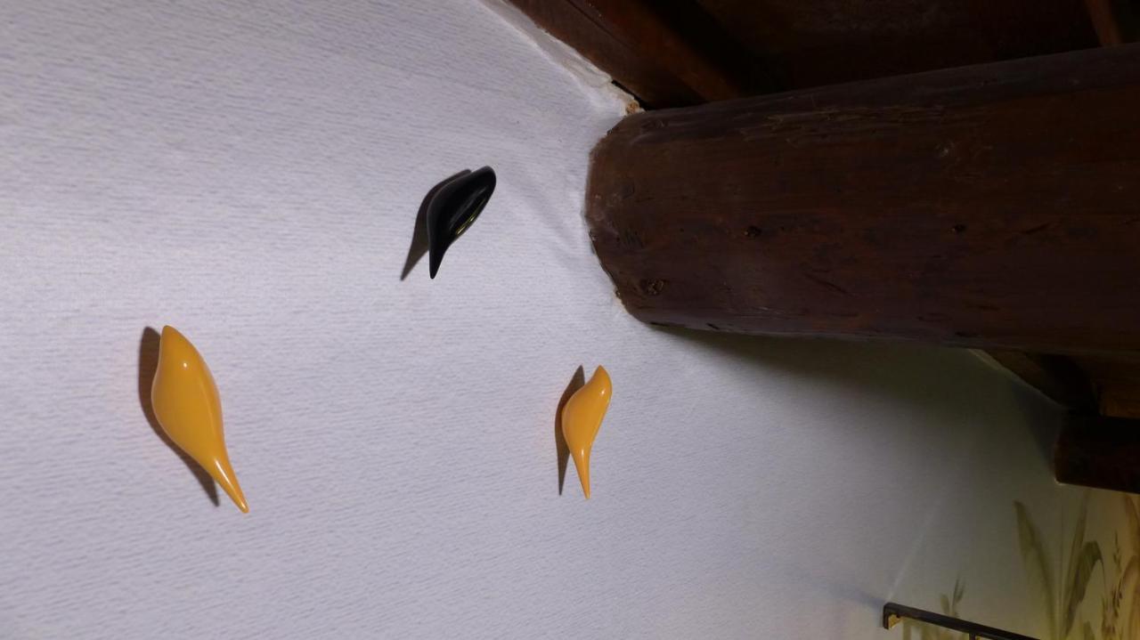 I Fiori Nel Golfo Di Baratti公寓 外观 照片